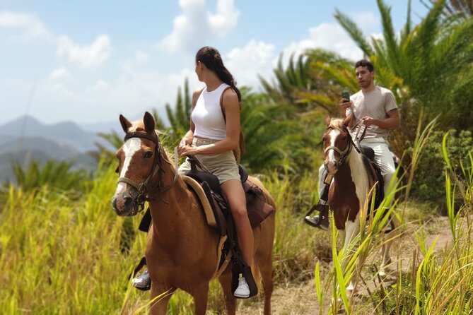 3 Hours Horseback Riding from Nature Trails to Sofa Stone - Riding from the stable into St Kitts’ green hills