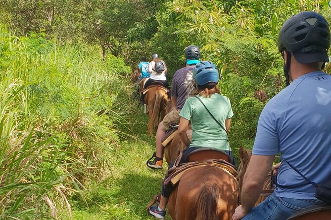 3 Hours Horseback Riding from Nature Trails to Sofa Stone - The return ride and the real timing