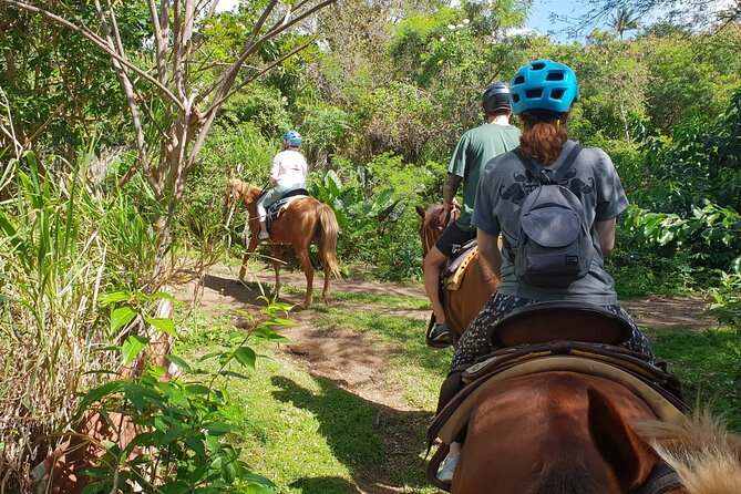 3 Hours Horseback Riding from Nature Trails to Sofa Stone - How the scenery measures up