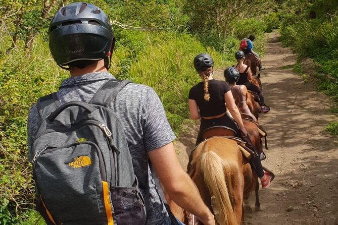 3 Hours Horseback Riding from Nature Trails to Sofa Stone - Who should book this St Kitts horseback tour?