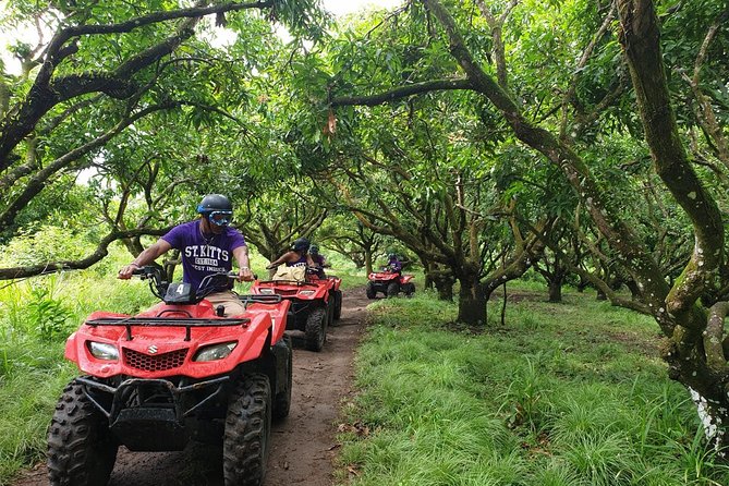 ATV Tour of St Kitts - Wingfield Estate and the island’s sugar past