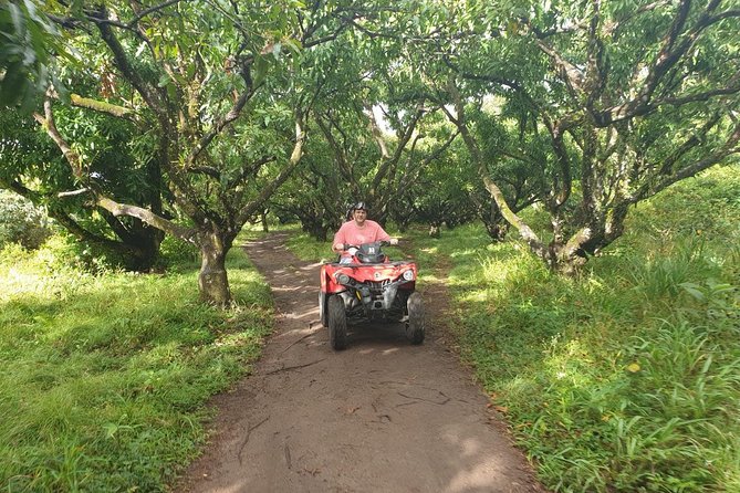 ATV Tour of St Kitts - Pickup from the port or your hotel