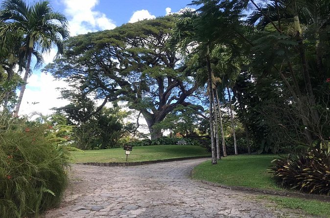 Basseterre Half Day Tour - The guides shape the experience