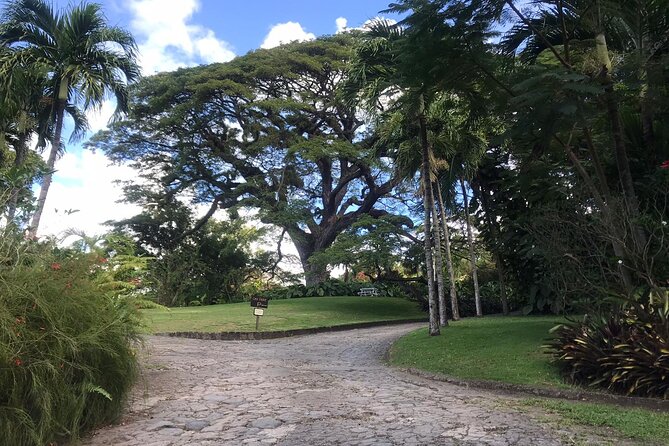 Basseterre Half Day Tour - What $70 includes, and where the value lies