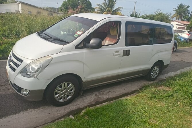 Basseterre Half Day Tour - Fitness, timing, and booking details