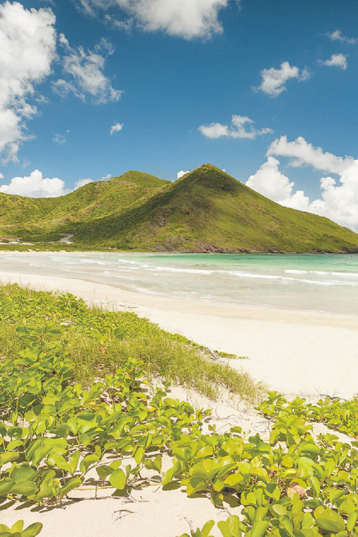 Basseterre: Highlights Capital and Beach Tour - Who will enjoy this outing most?