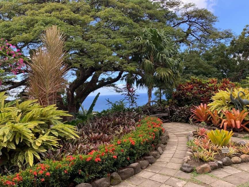 Basseterre: Plantation and Beach Extravaganza - Timothy Hill puts both coastlines in view