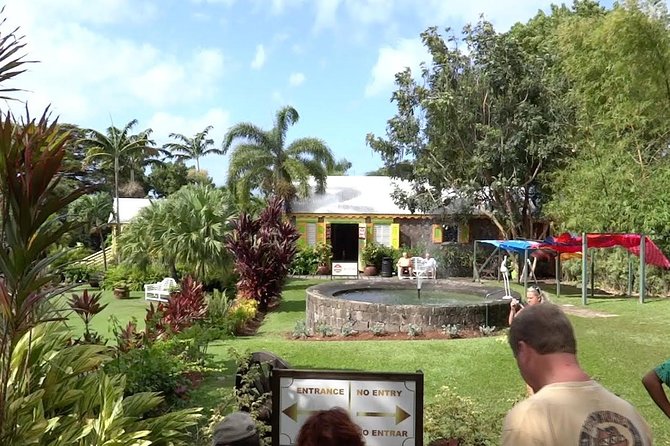 Best of St. Kitts Highlight Tour and Beach - Carib Petroglyphs and the island’s earlier story