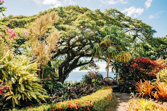 Best of St. Kitts Private Half Day Tour - A smart four-hour introduction to St. Kitts
