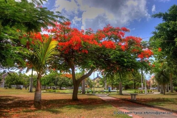 Best of St. Kitts Private Half Day Tour - Who will enjoy this St. Kitts tour most