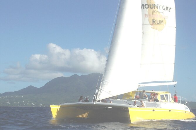 Catamaran Sunset and Cocktail Cruise - Who will enjoy this cruise most