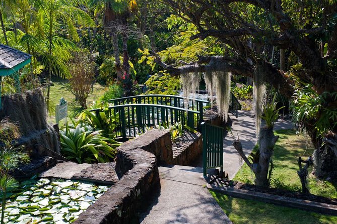 Discover Nevis, Island Tour (Private) - What private touring changes