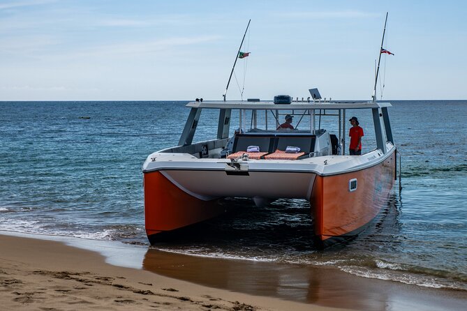 Full Day Luxury Snorkel Charter With Lunch (Minimum 10 Guests) - Guided snorkeling with Captain Mike and the crew