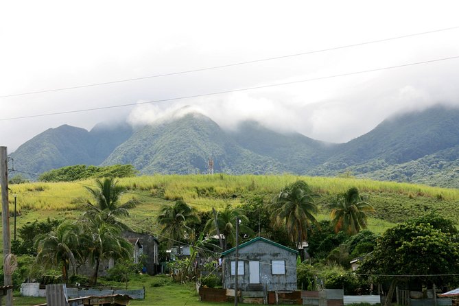 Full Island Panoramic Tour of St Kitts - Wingfield Estate and the rainforest foothills