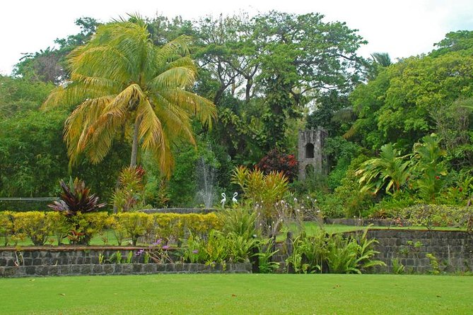 Full Island Private Tour - Basseterre landmarks and the island’s early story