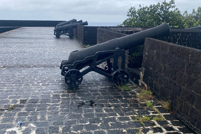 Half-Day Island Adventure of St Kitts - Romney Manor combines gardens and craft