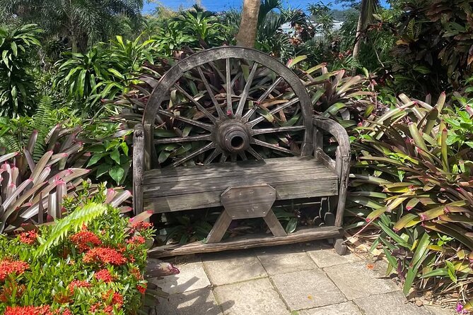 Half-Day Island Adventure of St Kitts - Black Rocks reveals the volcanic coast