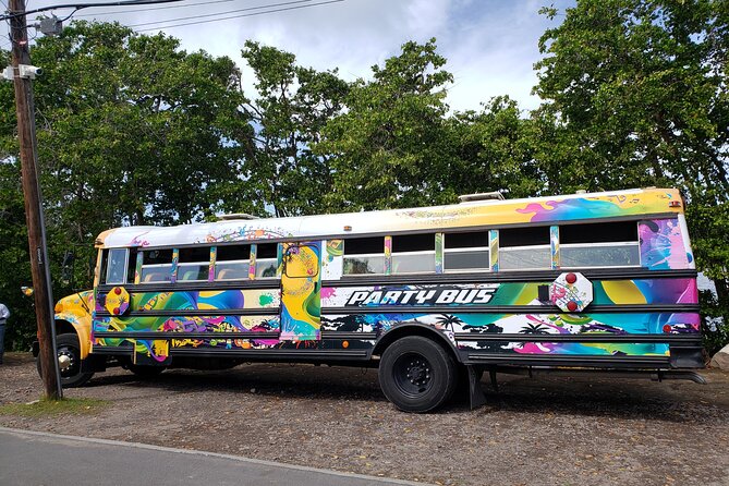 Half Day St. Kitts Party Bus City Excursion and Beach - Comfort, seating, and the air-conditioning question