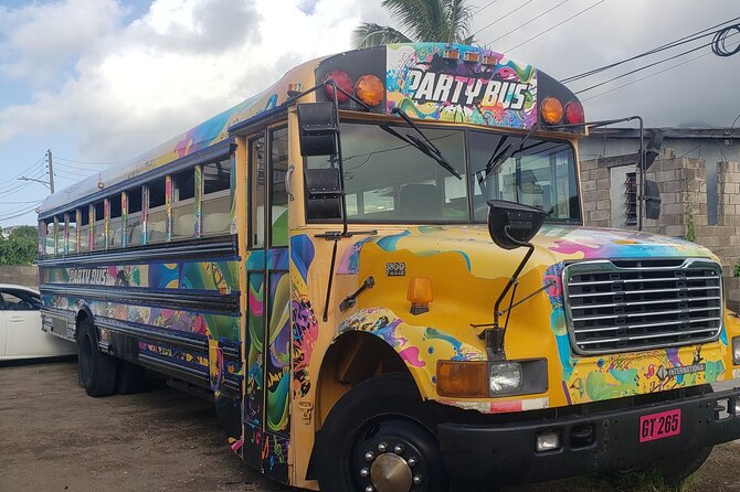 Half Day St. Kitts Party Bus City Excursion and Beach - Who will enjoy this most
