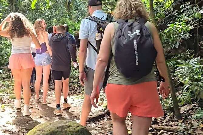 Half-Day St. Kitts Rainforest Hike - Key points to know before booking