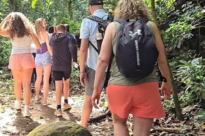 Half-Day St. Kitts Rainforest Hike - Snacks, water and the four-hour schedule