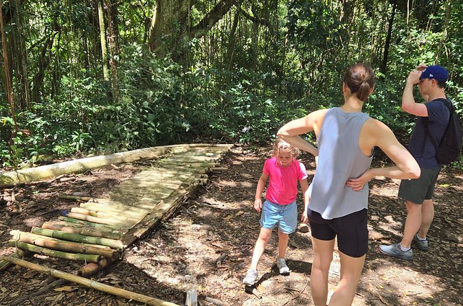 Half-Day St. Kitts Rainforest Hike - Who will enjoy this St. Kitts experience