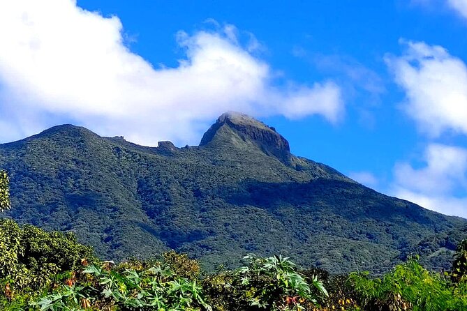Hike St. Kitts: Highest peak Mount Liamuiga Volcano - Reaching the crater rim and upper viewpoint