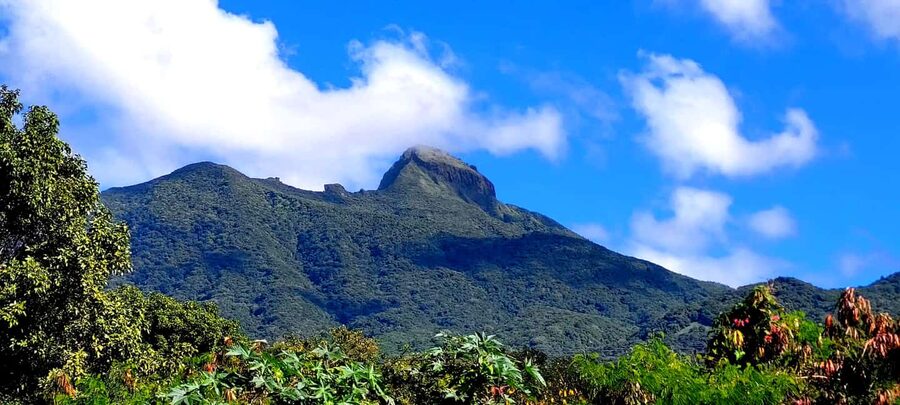Hike St. Kitts: Highest peak Mount Liamuiga Volcano - Who should book this hike?