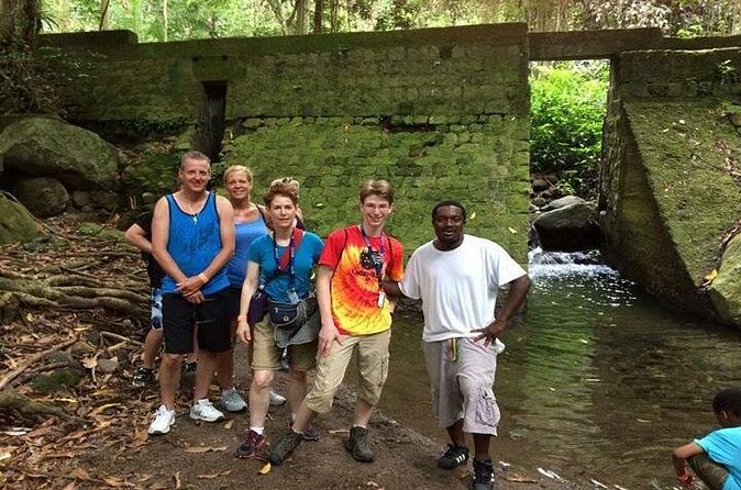 Hiking Mount Liamuiga Volcano in St Kitts - Reaching the cloud forest and volcanic crater