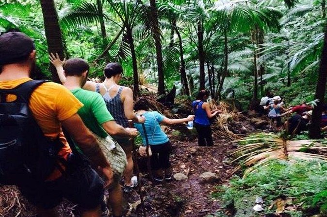 Hiking Mount Liamuiga Volcano in St Kitts - Snacks, drinks, and the welcome at the top