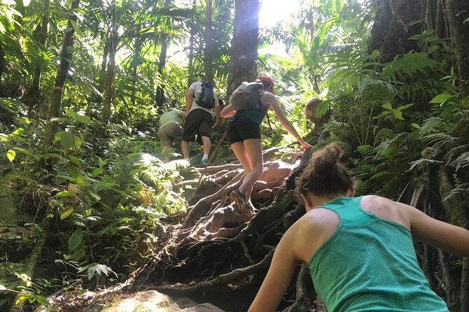 Hiking Mount Liamuiga Volcano in St Kitts - What $100 buys you