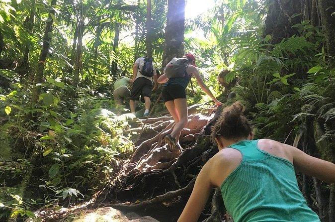 Hiking Mount Liamuiga Volcano in St Kitts - What to wear and carry for Mount Liamuiga
