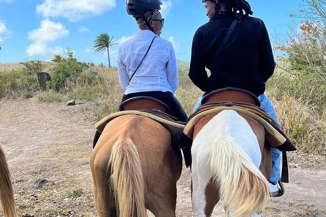 Horseback Riding, A Scenic Escape - Tropical Trees Give the Trail Its Character