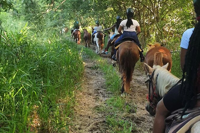 Horseback Riding, A Scenic Escape - The Basseterre Viewpoint Is the Big Payoff