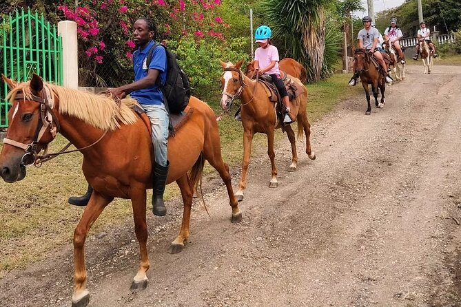 Horseback Riding, A Scenic Escape - Guides Shape the Pace and Feel of the Ride