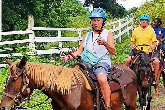 Horseback Riding, A Scenic Escape - What the Three-and-a-Half-Hour Schedule Means