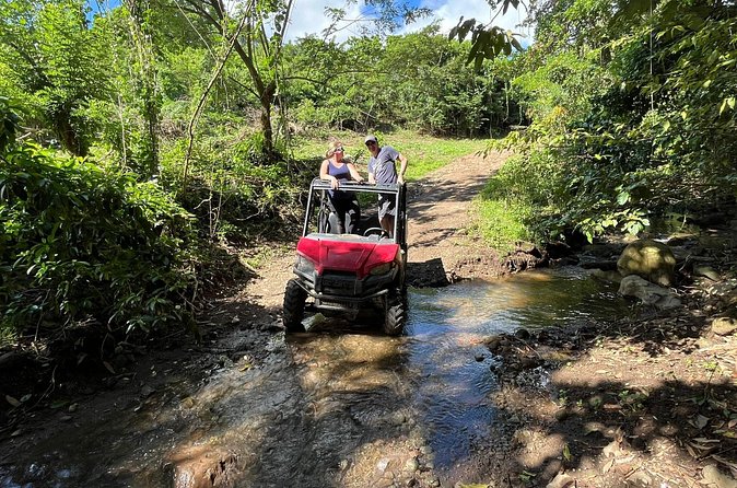 Jungle bikes Dune Buggy - Who Will Enjoy This Ride Most?
