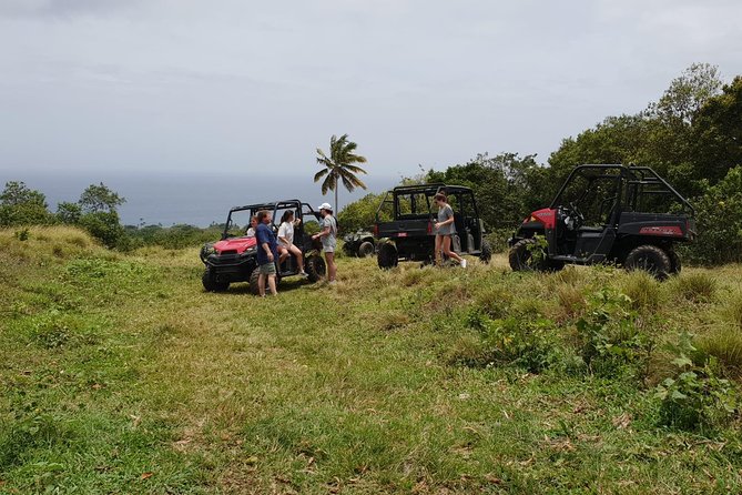 Jungle Bikes Dune Buggy & Beach Tours in St Kitts - Learning to drive before the jungle tracks