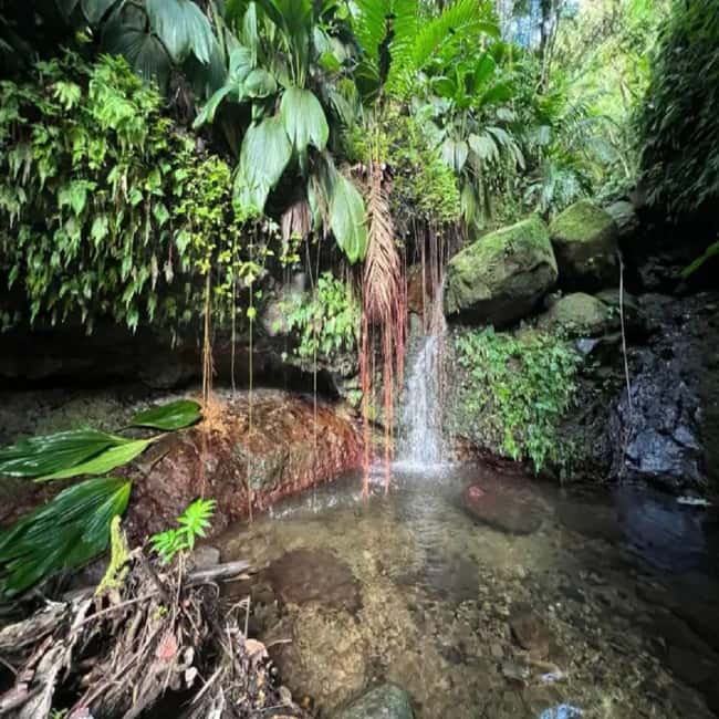 Lawyer Stephen Hike with Waterfall and Cave Hike - Key points to know before you go