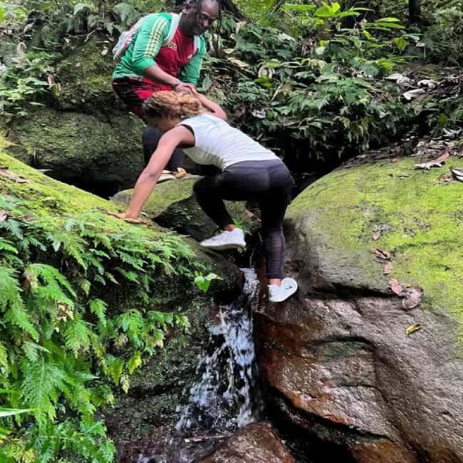 Lawyer Stephen Hike with Waterfall and Cave Hike - Why this Nevis hike is different