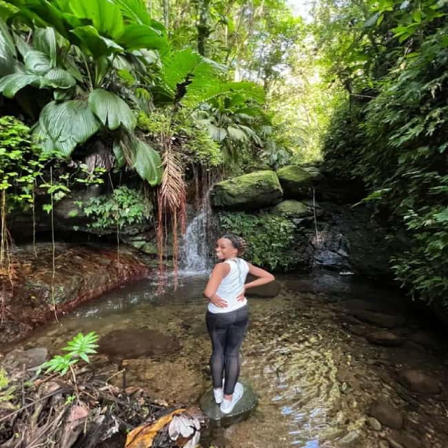 Lawyer Stephen Hike with Waterfall and Cave Hike - The cave stop and the first waterfall