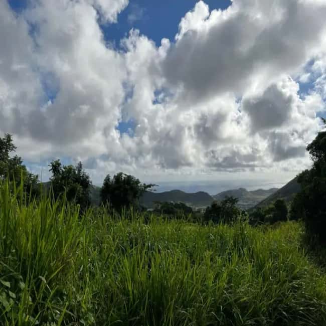 Lawyer Stephen Hike with Waterfall and Cave Hike - Transport and the five-hour schedule