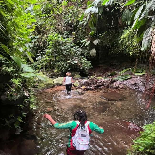 Lawyer Stephen Hike with Waterfall and Cave Hike - Who should book this experience?