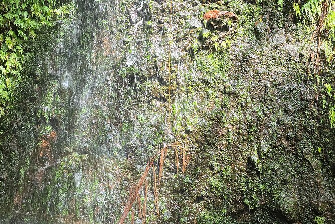 Lawyer Stephen’s Cave & Waterfalls Hike - Sandy Point Town and the island’s northwest coast