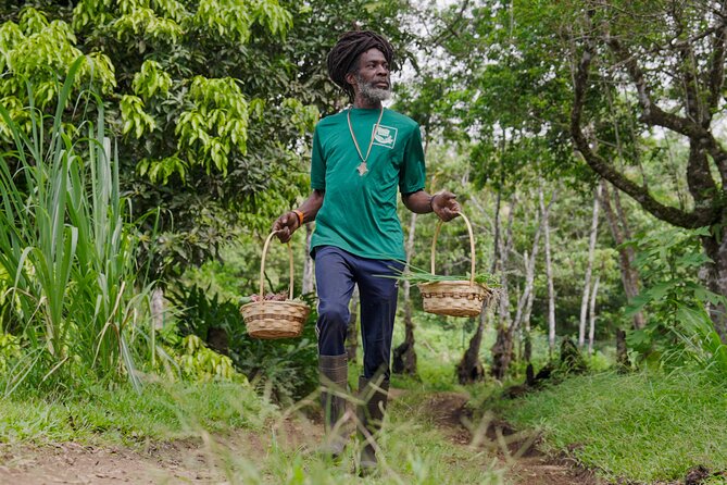 Liamuiga Natural Farm Tour - St.Kitts' Coffee Farm - Arriving at an award-winning coffee estate