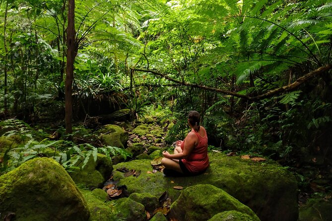 Mindfulness Rainforest Hike, Forest Bathing, Volcanic Hot Springs - Key points to know before booking