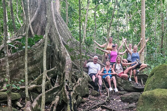 Mindfulness Rainforest Hike, Forest Bathing, Volcanic Hot Springs - Is $175 a fair price?
