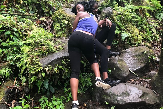 Mount Liamuiga Volcano Tours - Climbing St. Kitts’ former Mount Misery