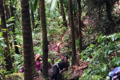 Mount Liamuiga Volcano Tours