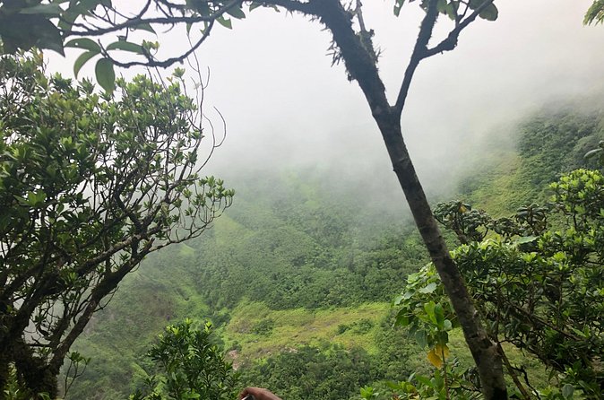 Mount Liamuiga Volcano Tours - The guide matters on a mountain tour